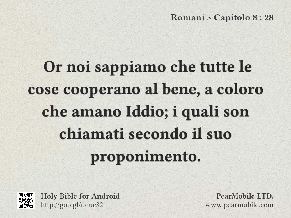Romani, Capitolo 8:28
